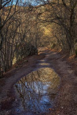 Прикрепленное изображение: IMG_9767 копия.jpg